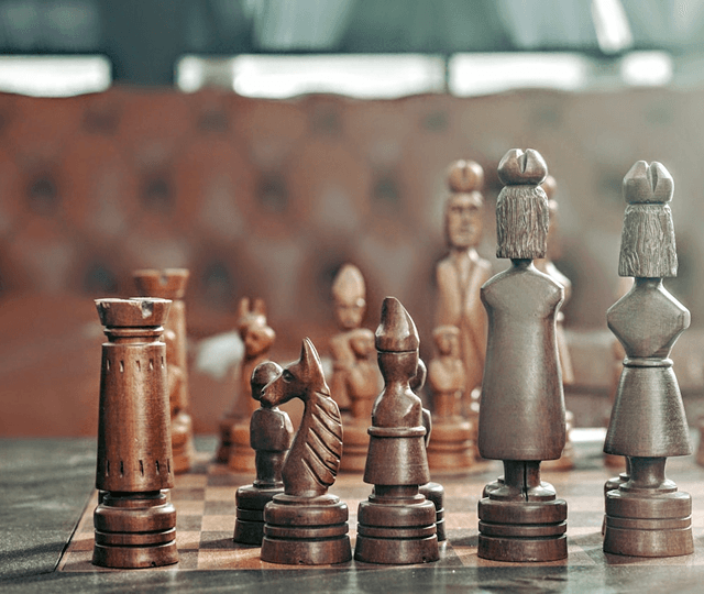 Litigation Process